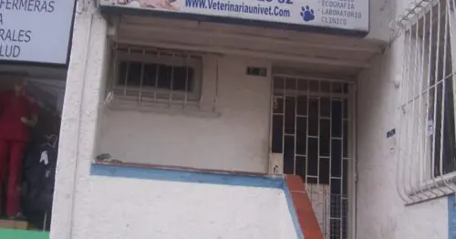 UNIVET BOGOTÁ UNIVET BOGOTÁ